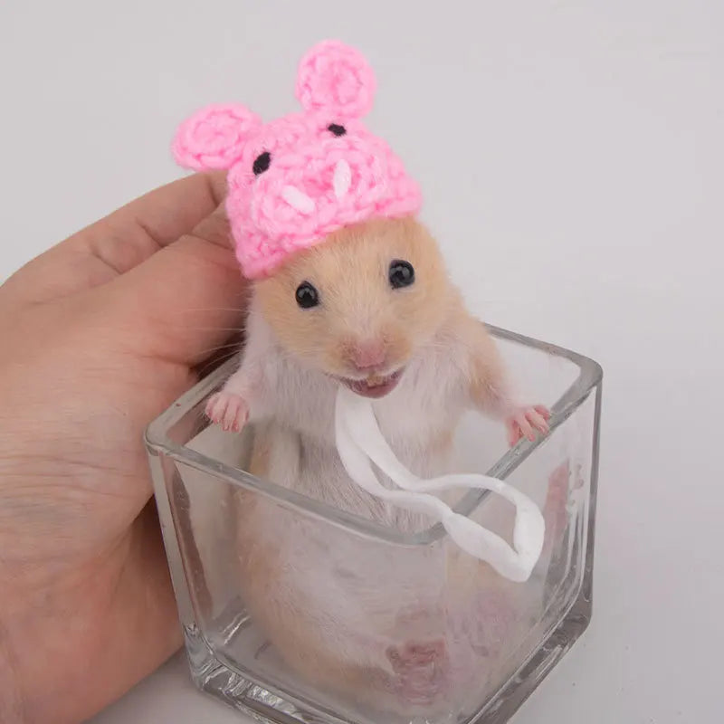 Handmade Knitted Hat for Small Animal, Mini Hand Pet Hat Tiny Hamster Hat for Parrot Snake Cute Chipmunk Guinea Pig Accessories