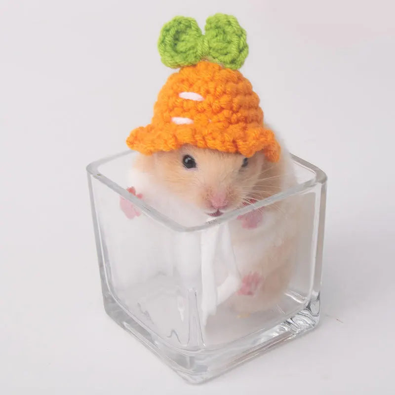 Handmade Knitted Hat for Small Animal, Mini Hand Pet Hat Tiny Hamster Hat for Parrot Snake Cute Chipmunk Guinea Pig Accessories